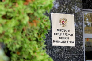 Минприроды вошло в число лидеров по удобству получения госуслуг